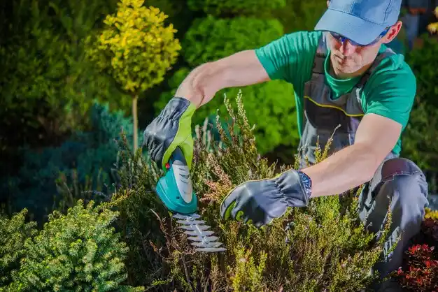 landscaping services New Concord